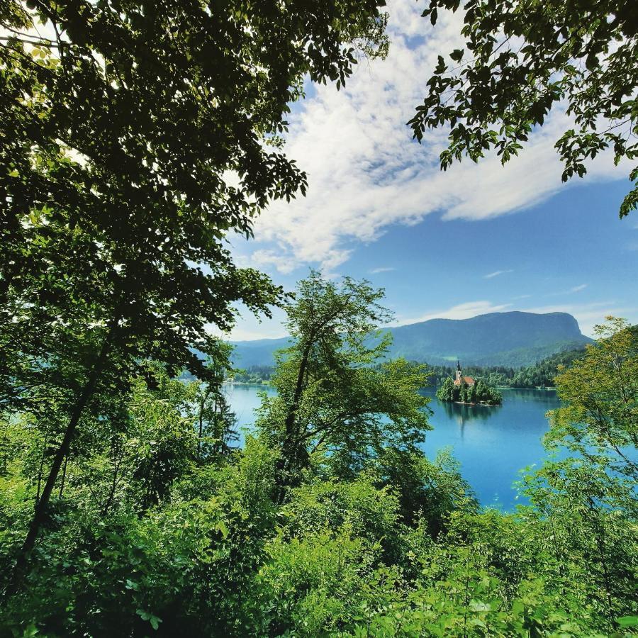 Garden Paradise Bled Apartments - Garden, Pond And Castle View Bagian luar foto